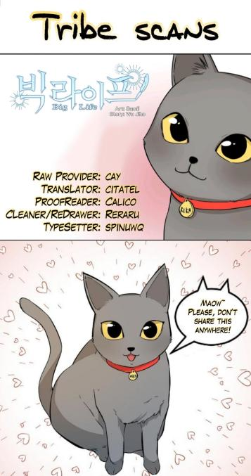 Big Life Ch. 6 第1页