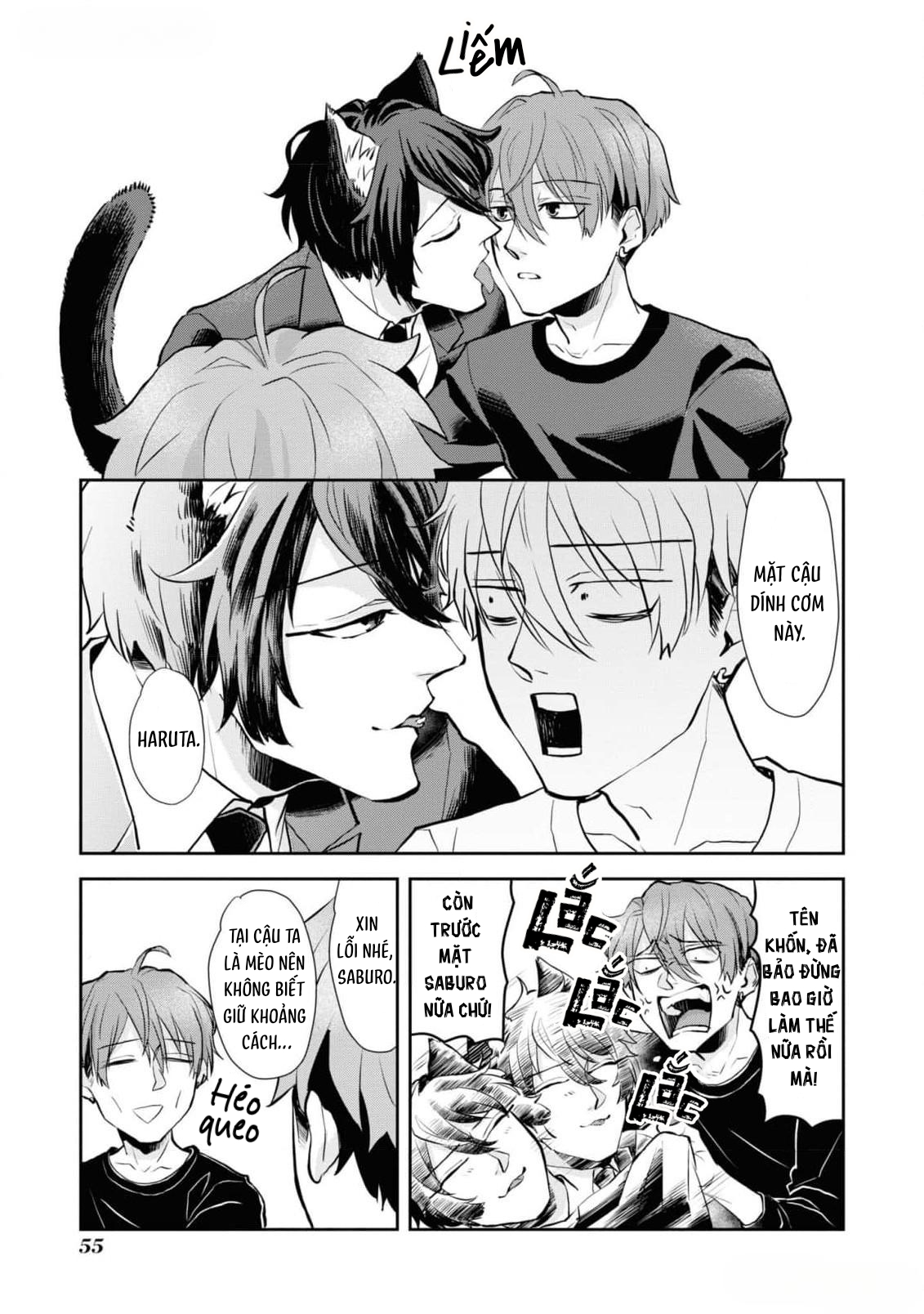 Ikemen Oneko wa Haruta ni Kawaretai Vol. 1 Ch. 3 第19页