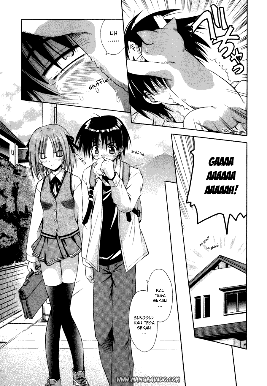 Omamori Himari Kucing, Perempuan dan Alergi 第6页