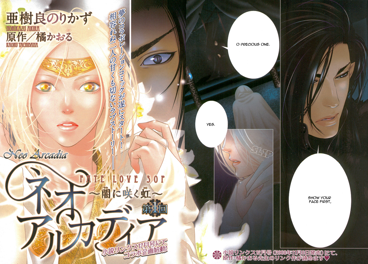 Neo Arcadia ~Yami ni Saku Niji~ Vol. 1 Ch. 1 第11页