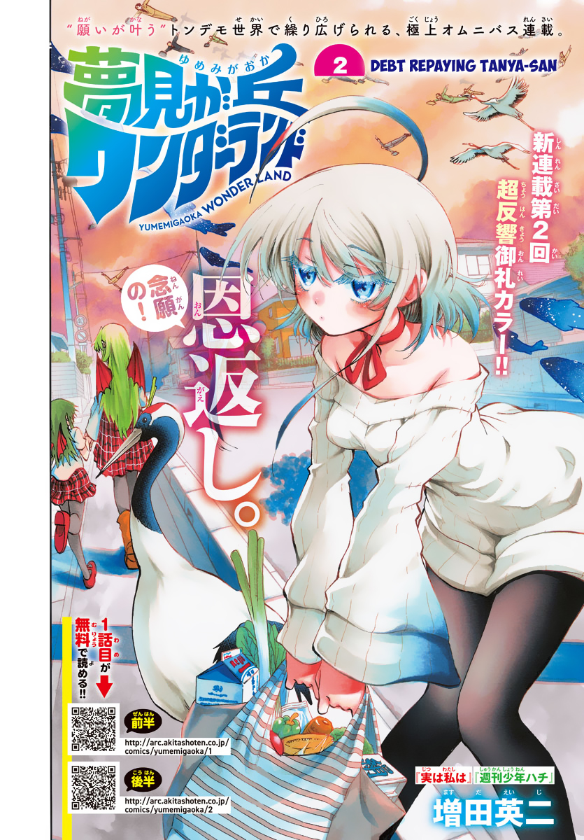 Yumemigaoka Wonderland Debt repaying Tanya-san 第2页