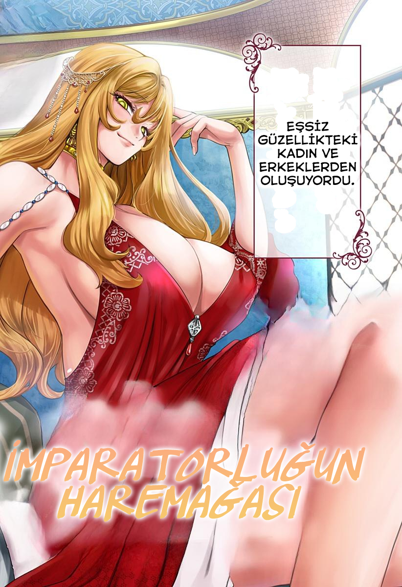 Mekkoku no Kangan Haremağası Cafer 第3页