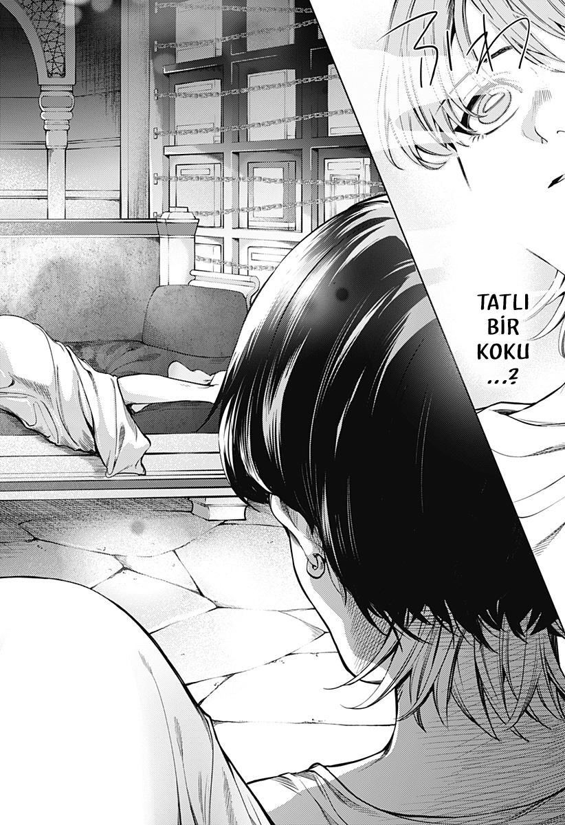 Mekkoku no Kangan Haremağası Cafer 第39页