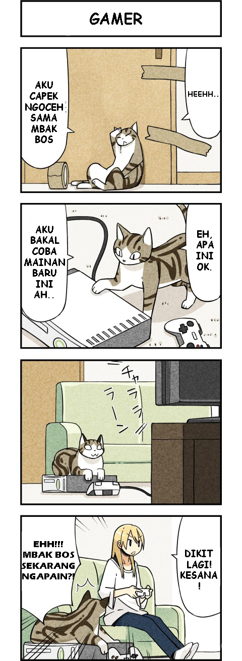 We Are Cats Ch. 2 第5页