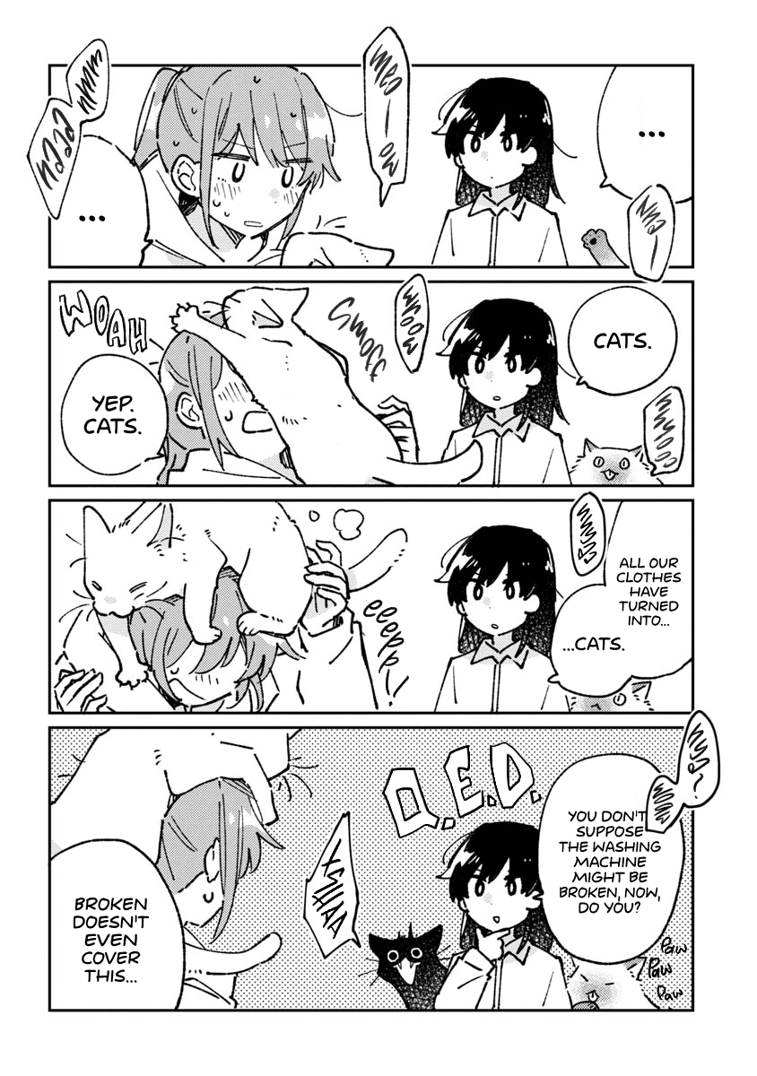 Laundry Cat 第2页
