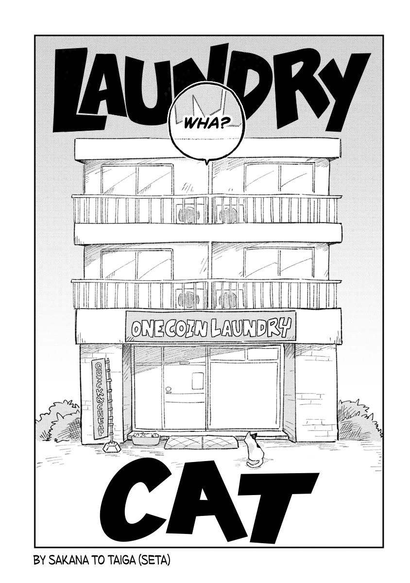 Laundry Cat 第5页