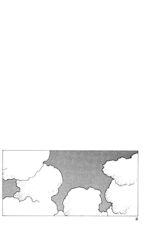 Kirara Vol. 1 Ch. 1 第5页