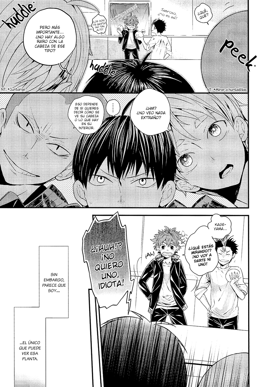 Haikyuu!! - Hana to Mitsubachi (Doujinshi) 第6页