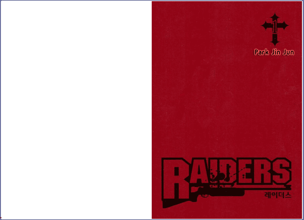 Raiders 第2页