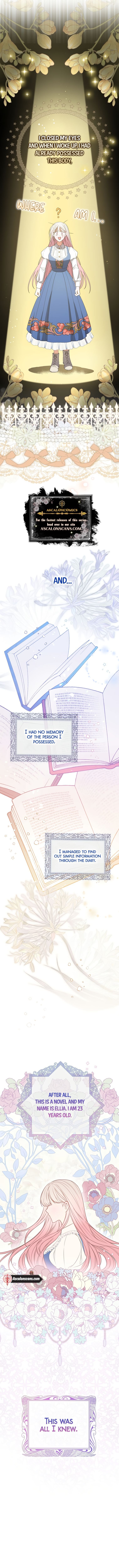 I Became the Young Villain's Sister-in-Law Ch. 1 第9页