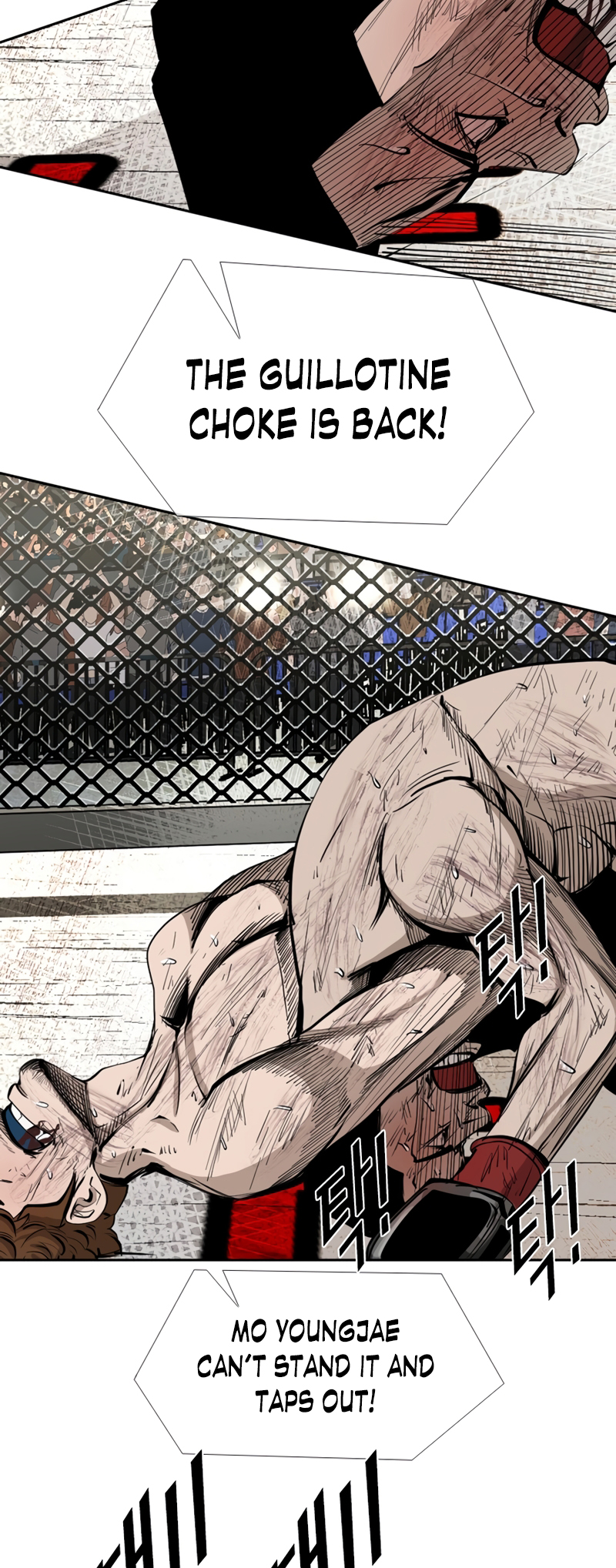 Shark Vol. 3 Ch. 166 第17页