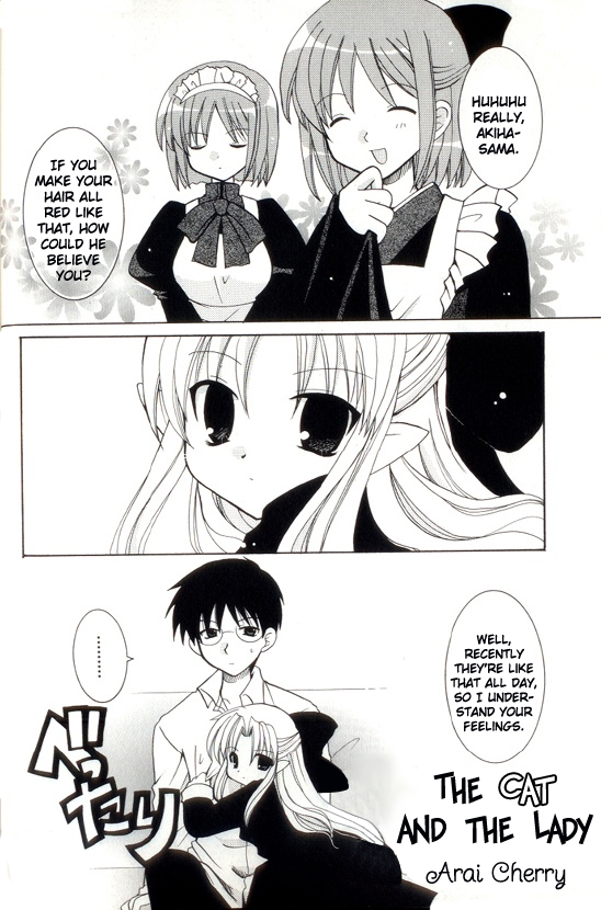 Tsukihime - The Cat and the Lady (Doujinshi) 第2页