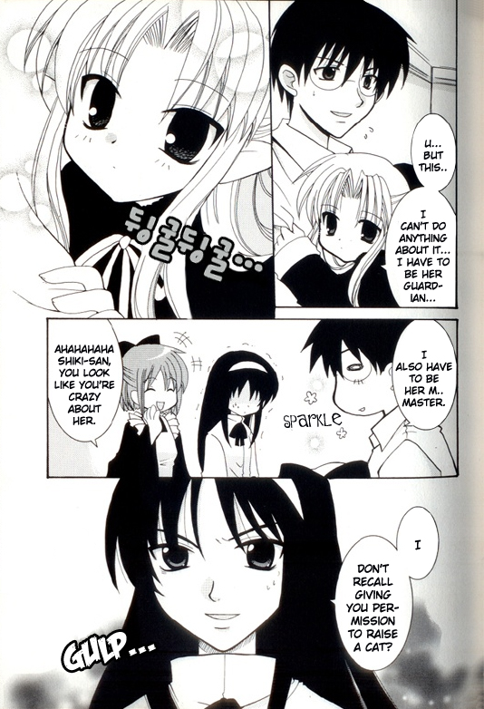 Tsukihime - The Cat and the Lady (Doujinshi) 第3页