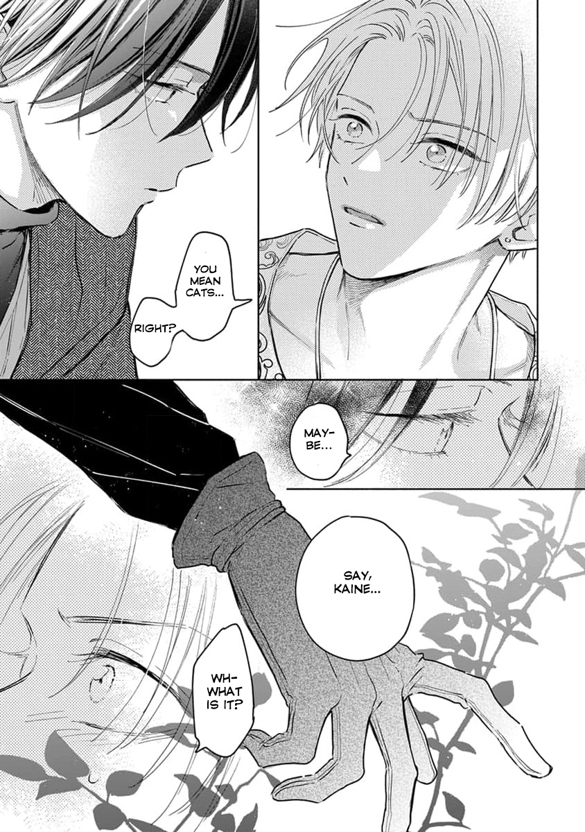 Yuusha no Ore-sama ga Madoushi Nanka ni! Vol. 1 Ch. 3 第10页