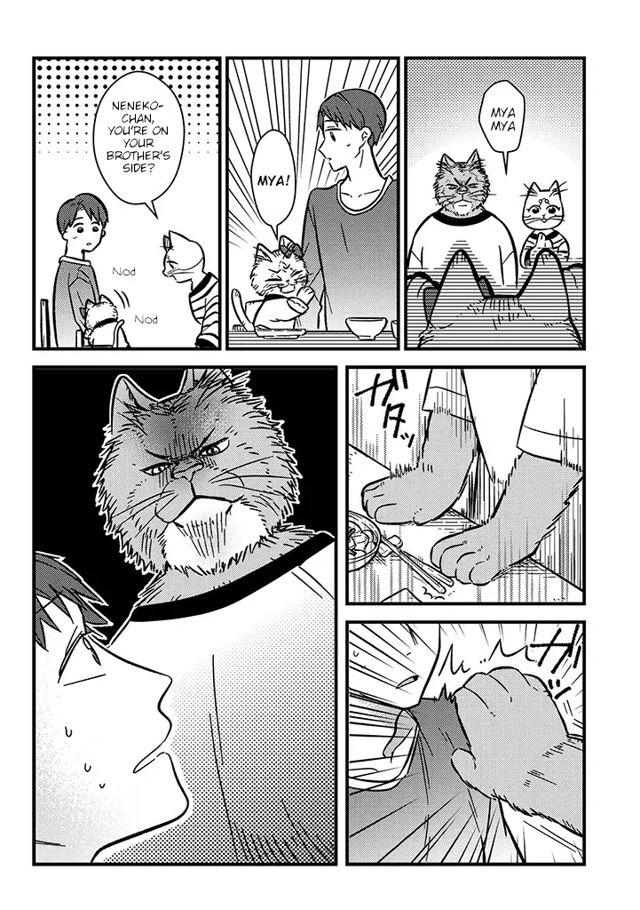 My Sister, The Cat Neneko & the Video Call 第2页