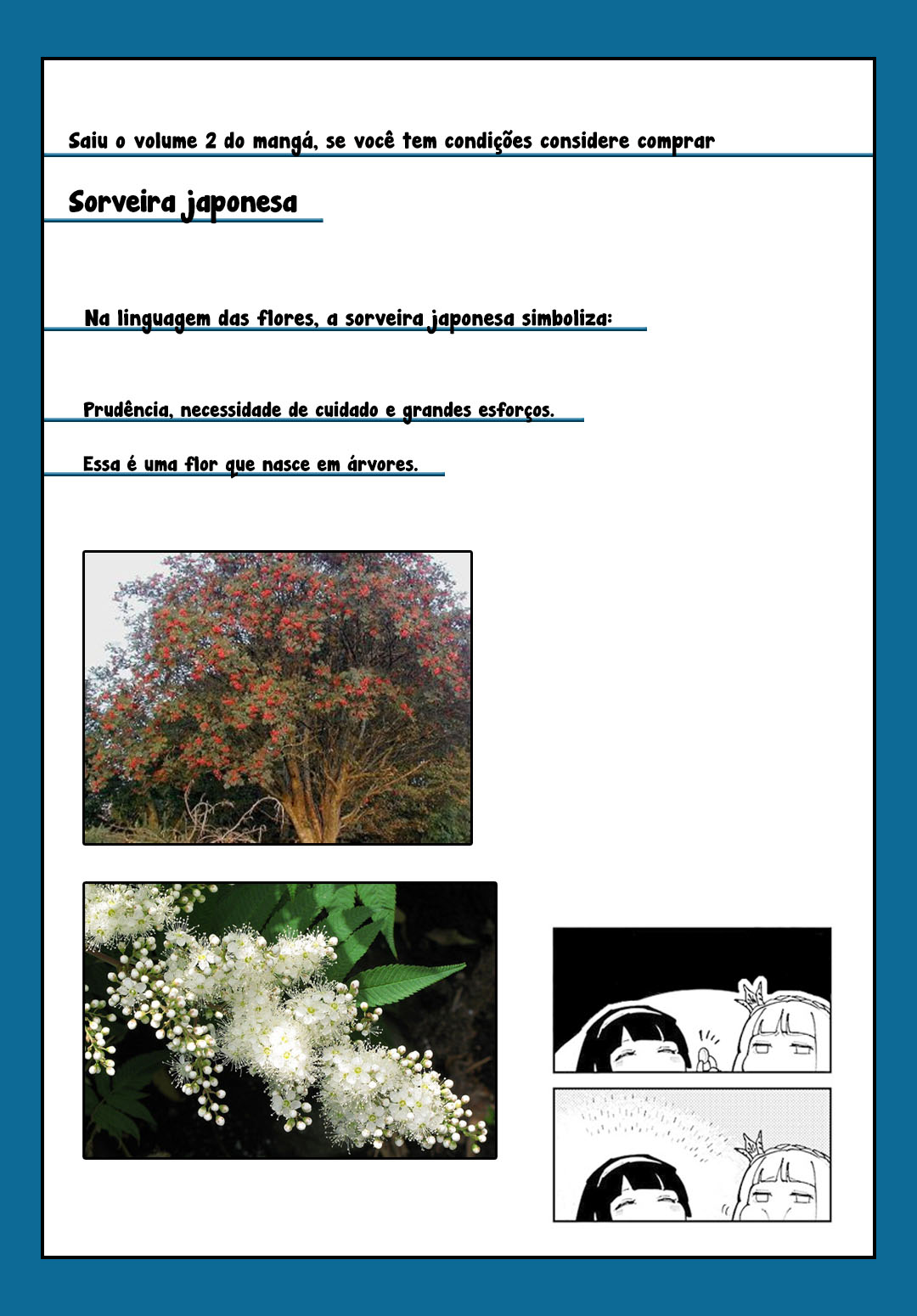 Sylph no Hanahime Sorveira japonesa 第30页