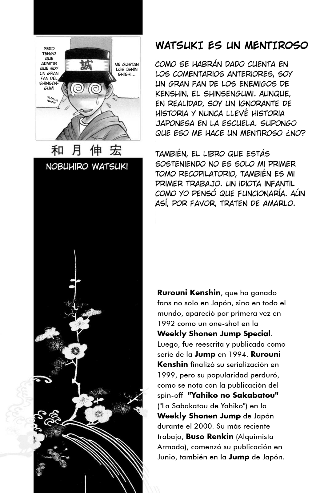 Rurouni Kenshin (Official Colored) Kenshin Himura Battousai 第2页