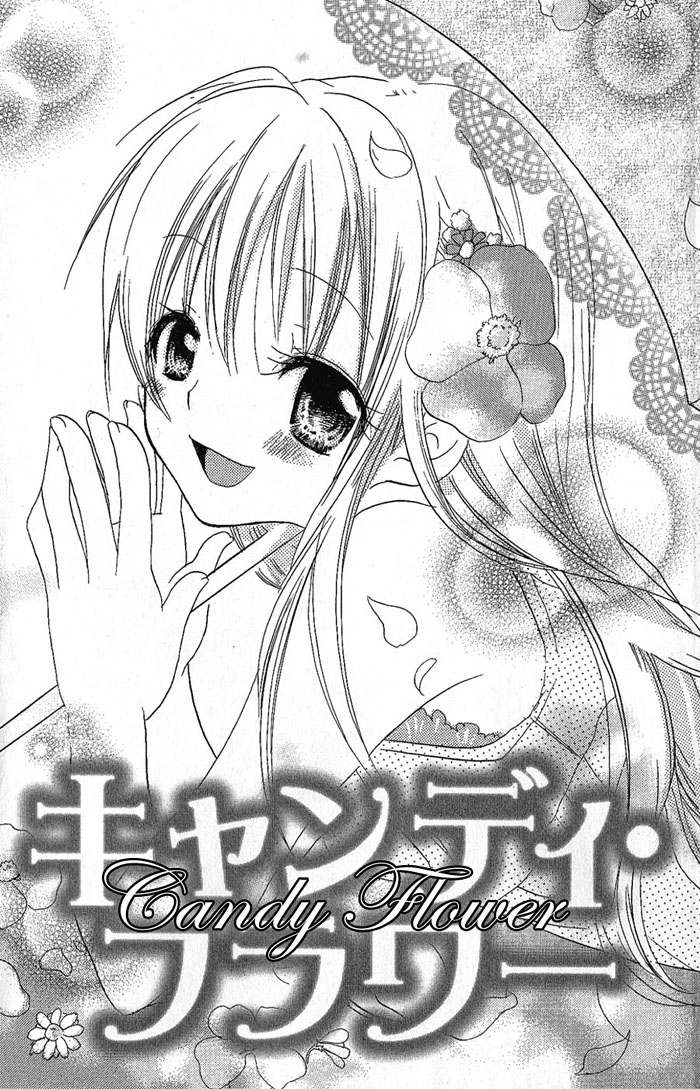 Candy Flower 第2页