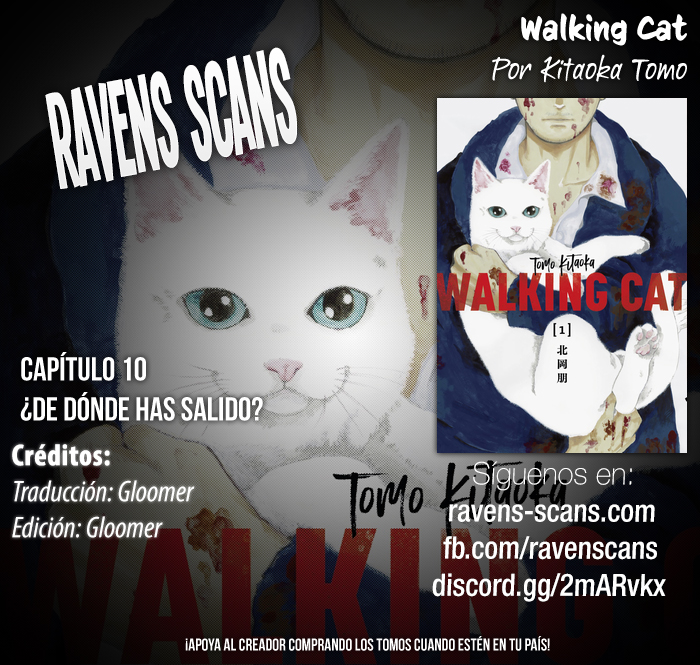 Walking Cat ¿De dónde has salido? 第1页