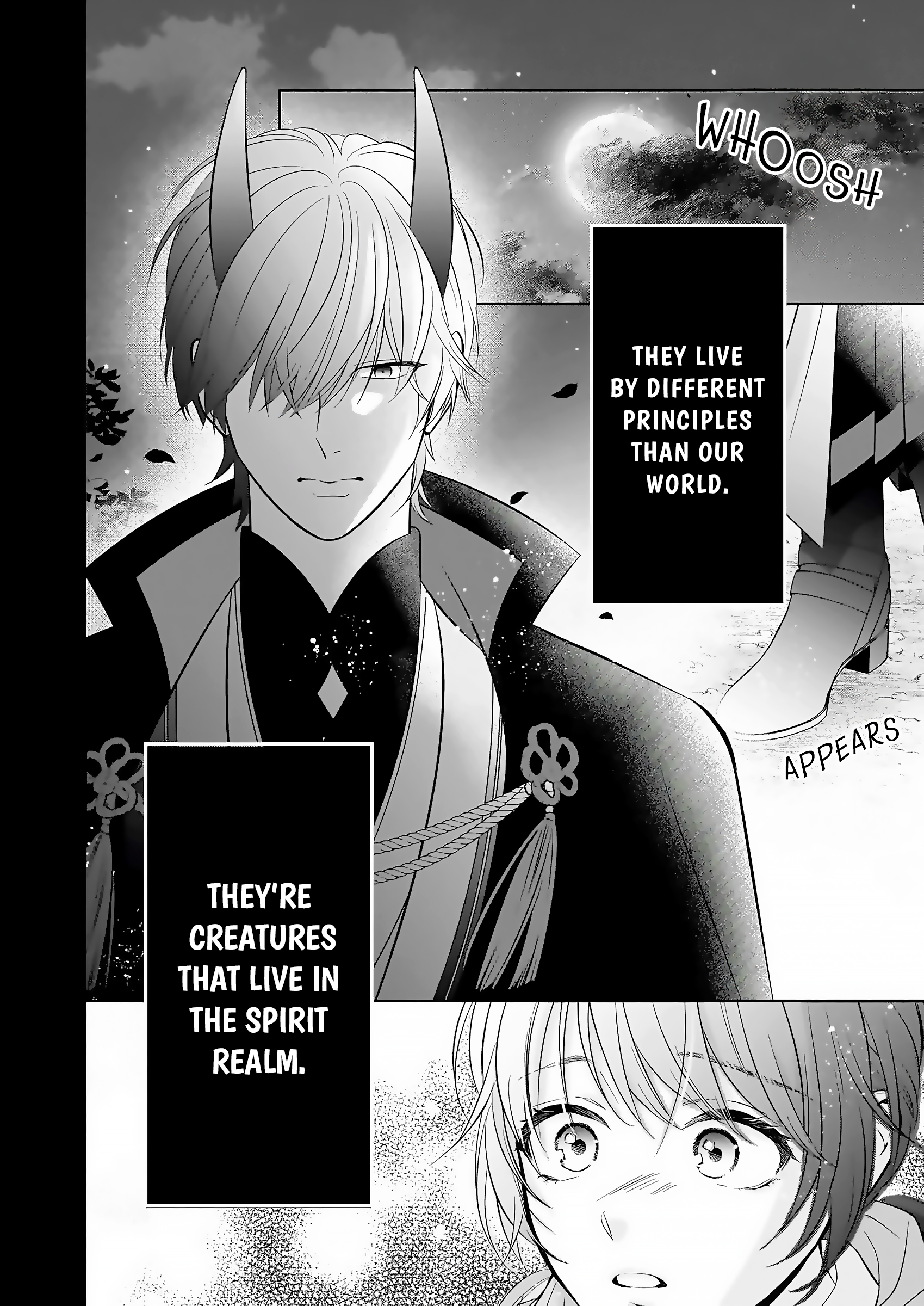 The Demon King's Beloved: Doting on the Abused Healing Maiden 第3页