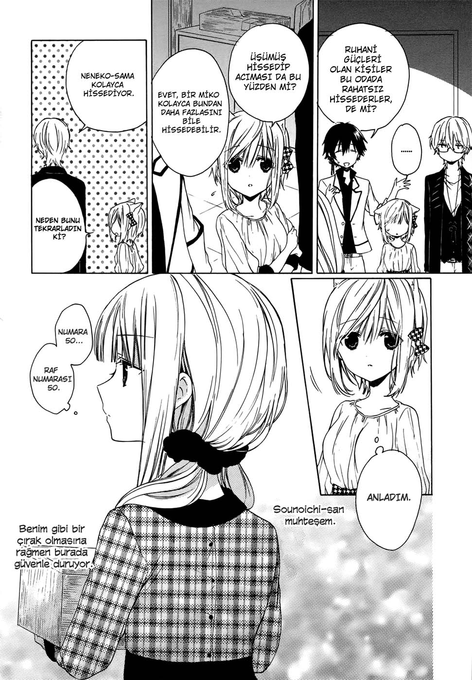 Kudamimi no Neko Bir Arkadaş Edindim. 第11页