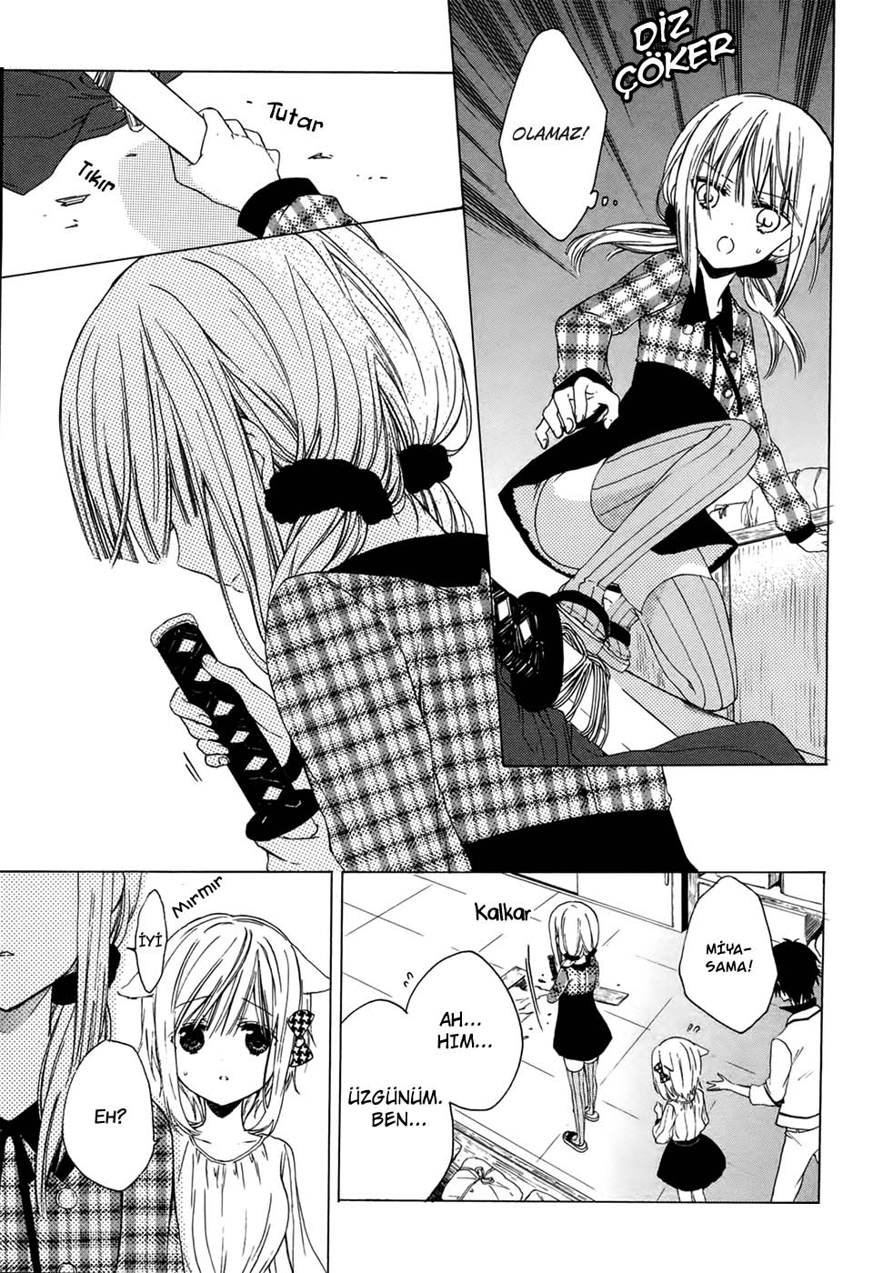 Kudamimi no Neko Bir Arkadaş Edindim. 第14页