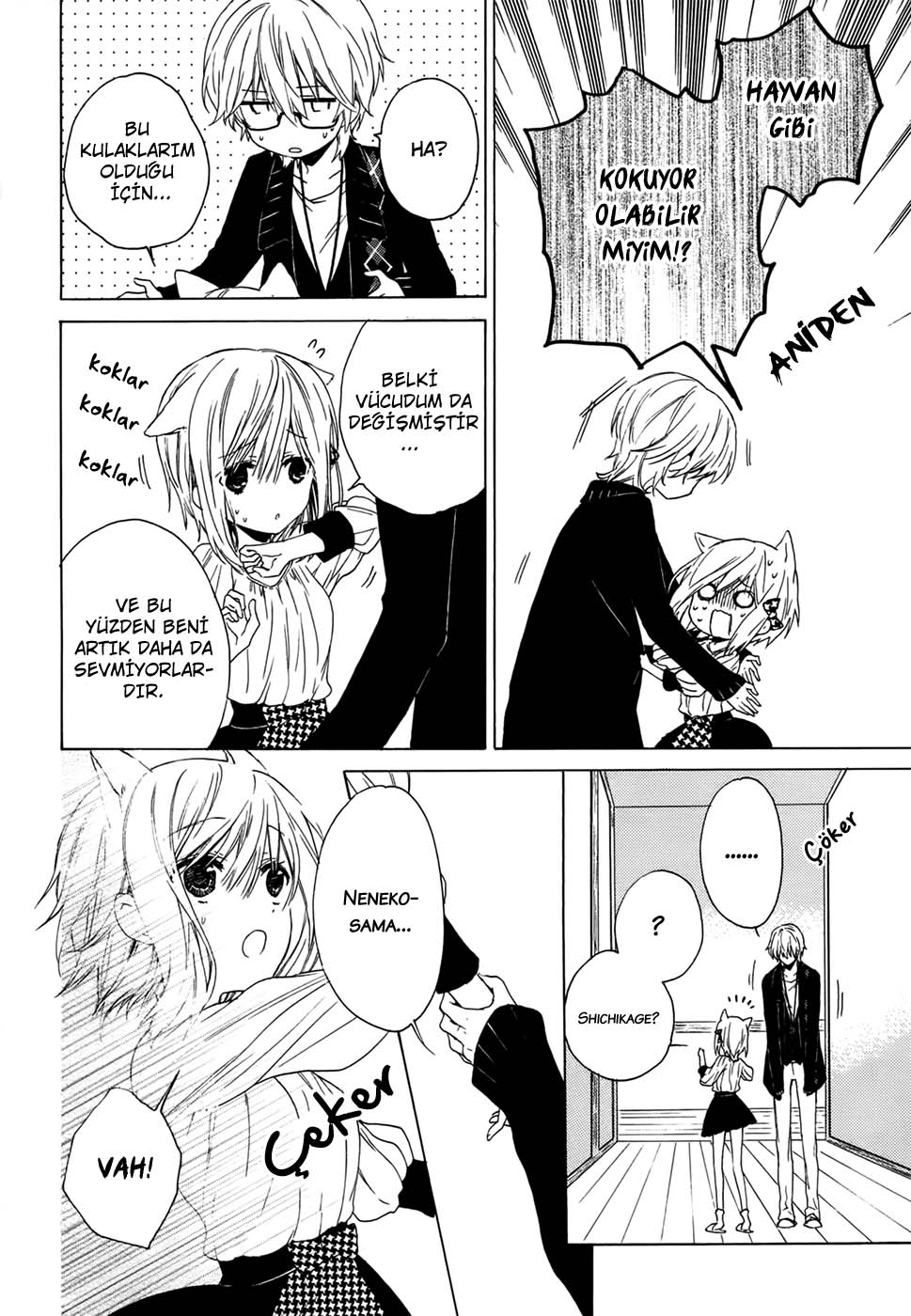 Kudamimi no Neko Bir Arkadaş Edindim. 第17页