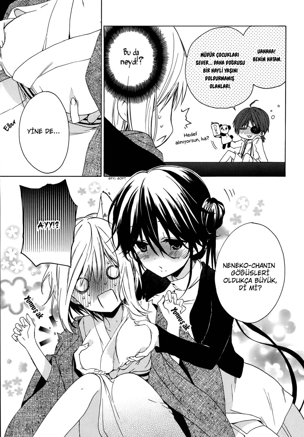 Kudamimi no Neko Bir Arkadaş Edindim. 第40页