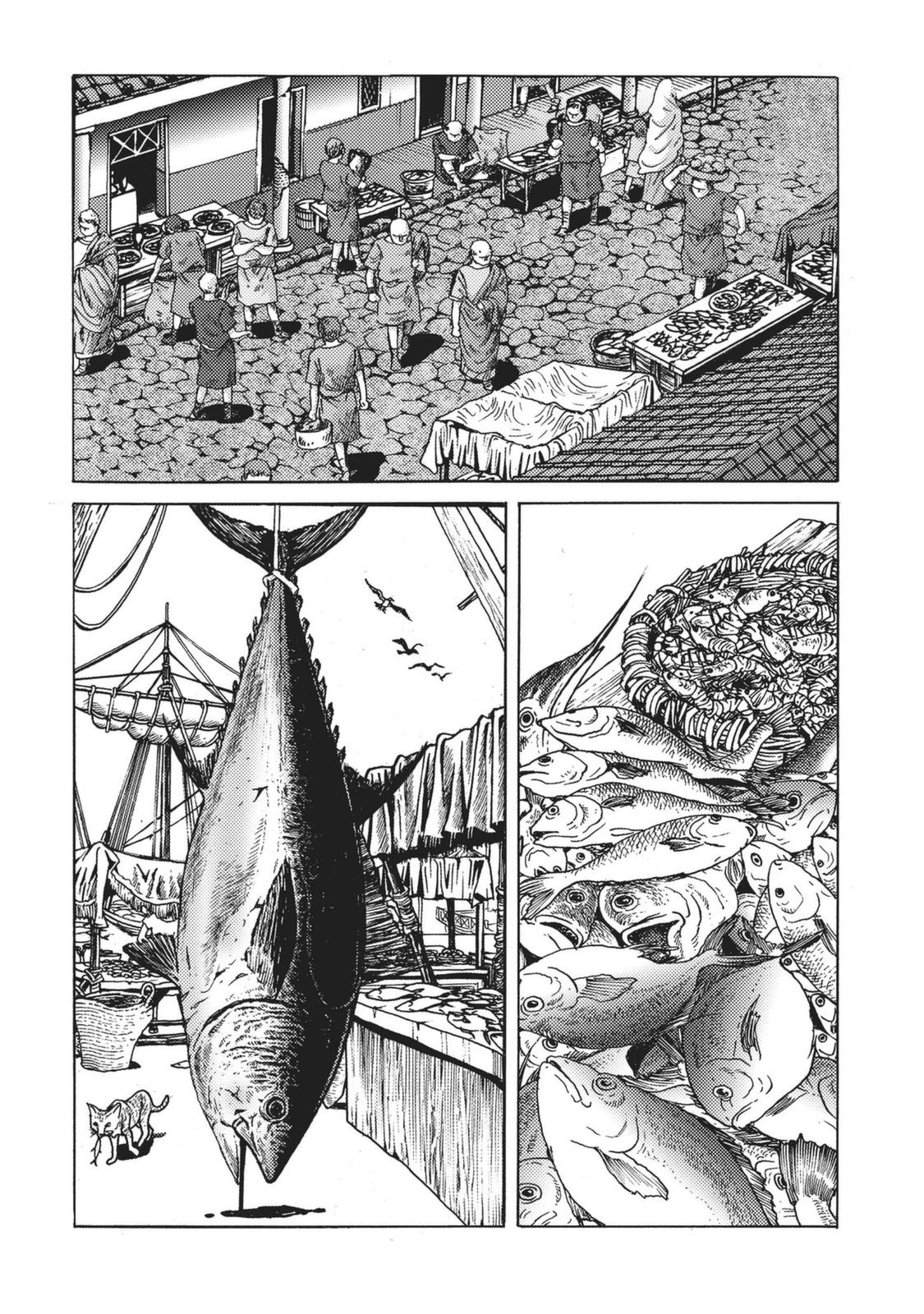 Plinivs Katania 第4页