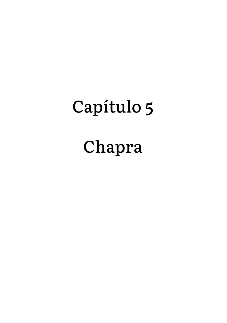 Buddha Chapra 第2页