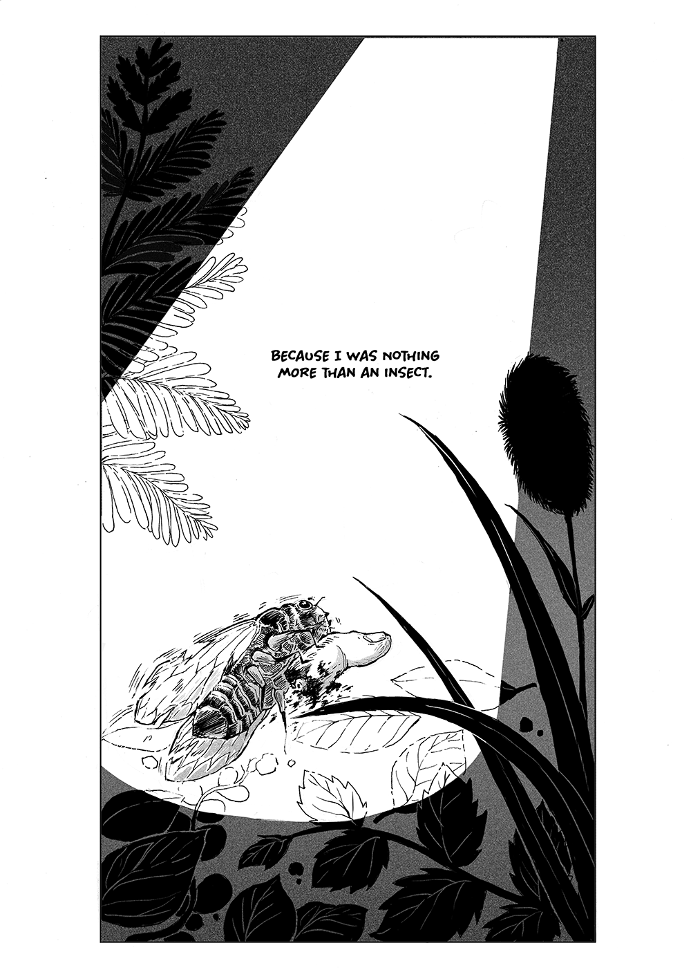 Weeping Insect 第5页