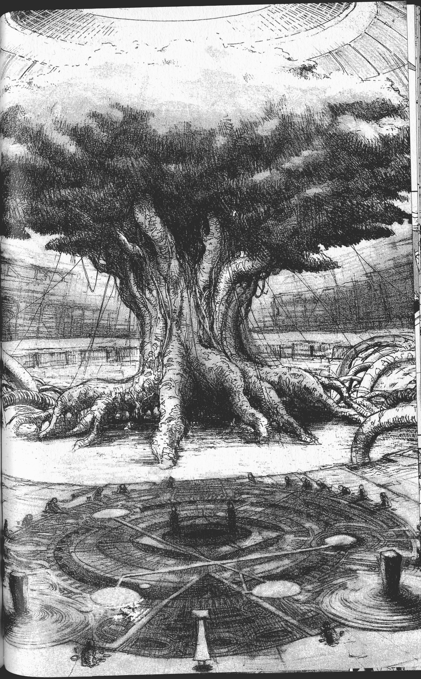 STONe Crimson Tide 第9页