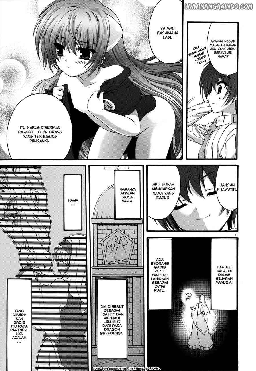 Seikoku no Dragonar Eiko adalah seorang Anak Perempuan Naga 第12页
