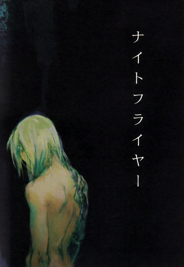 Fullmetal Alchemist - Night Flyer (Doujinshi) 第2页