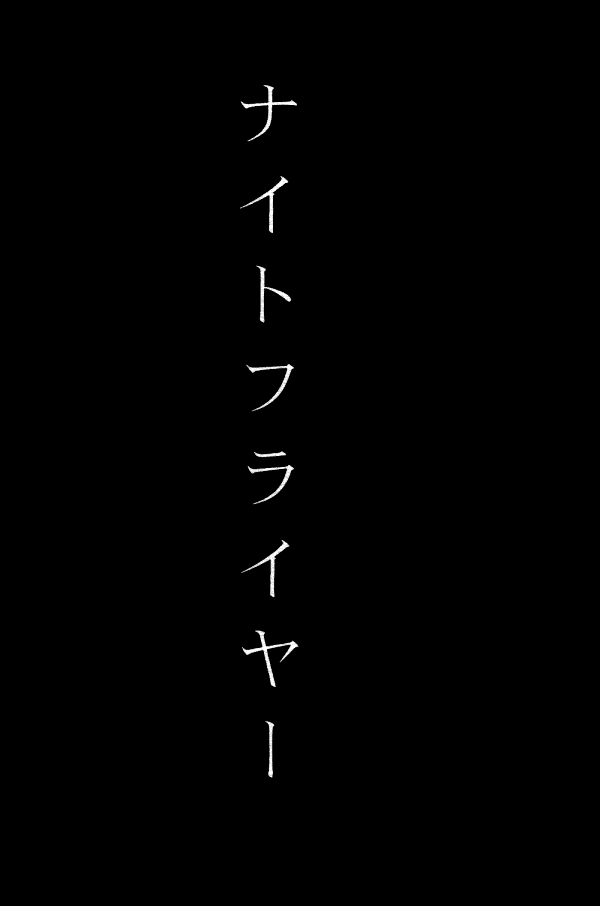 Fullmetal Alchemist - Night Flyer (Doujinshi) Oneshot 第11页