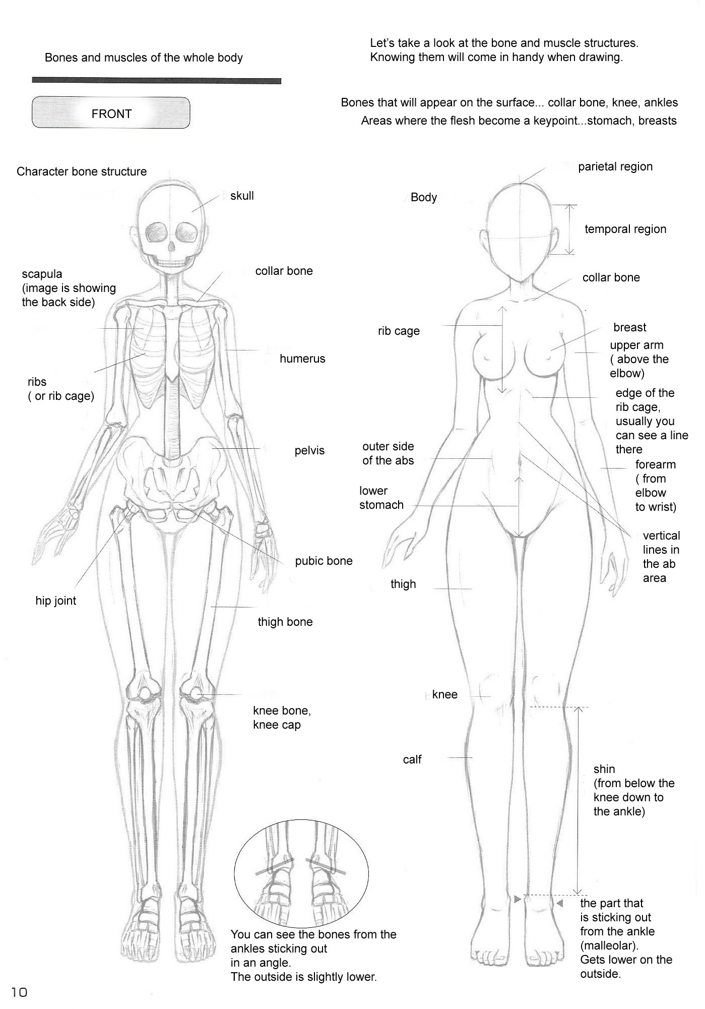 How to Draw Sexy Girls' Bodies Study Book 第4页
