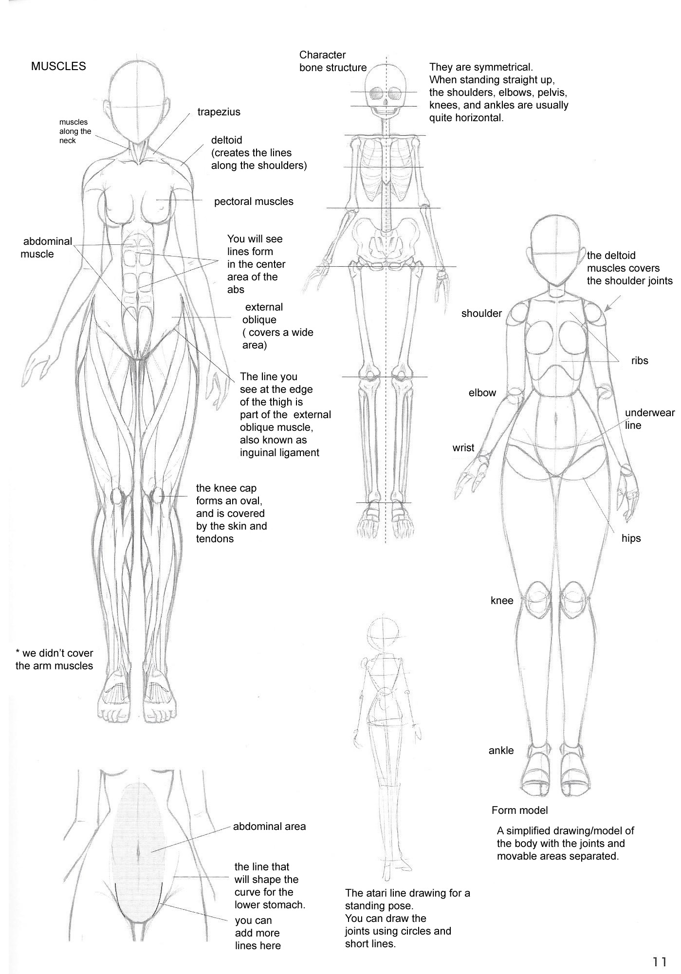 How to Draw Sexy Girls' Bodies Study Book 第5页