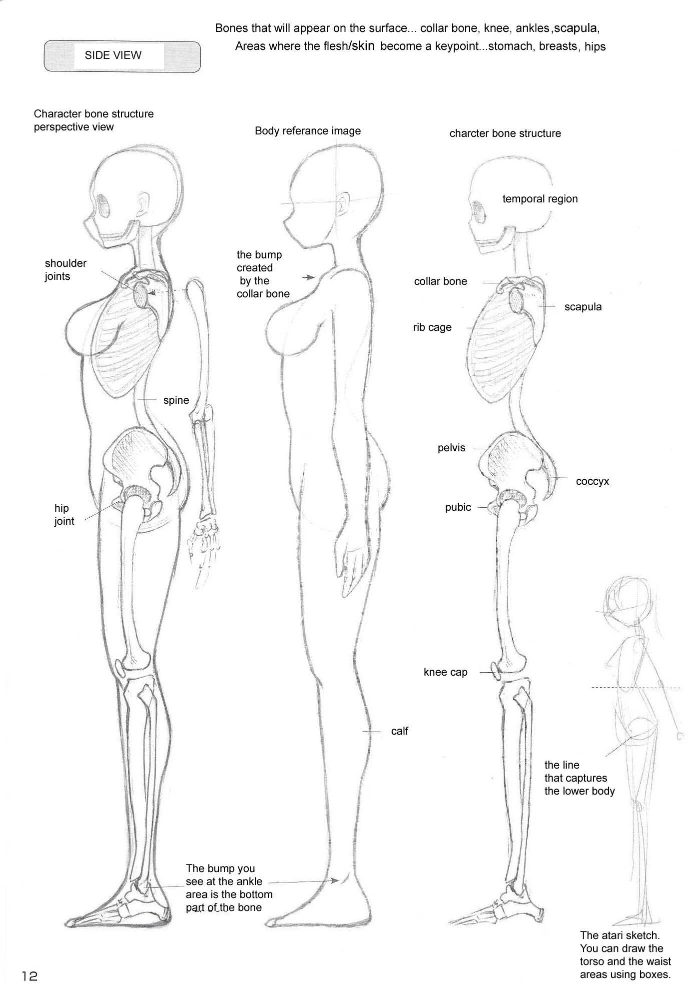 How to Draw Sexy Girls' Bodies Study Book 第6页