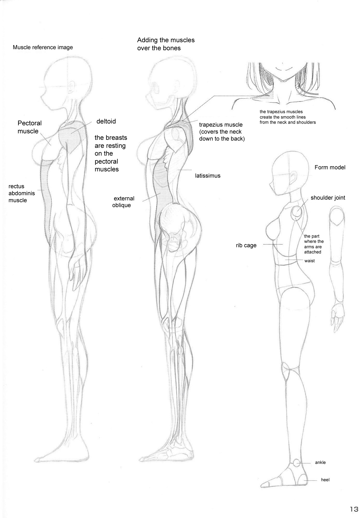 How to Draw Sexy Girls' Bodies Study Book 第7页