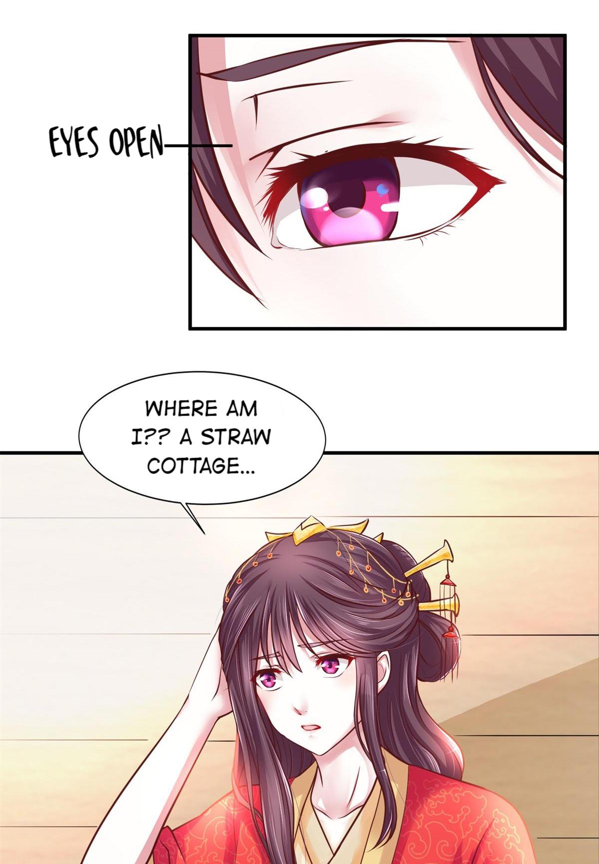 Rebel Princess: The Divine Doctor Outcast A Bride Cursed by All 第13页