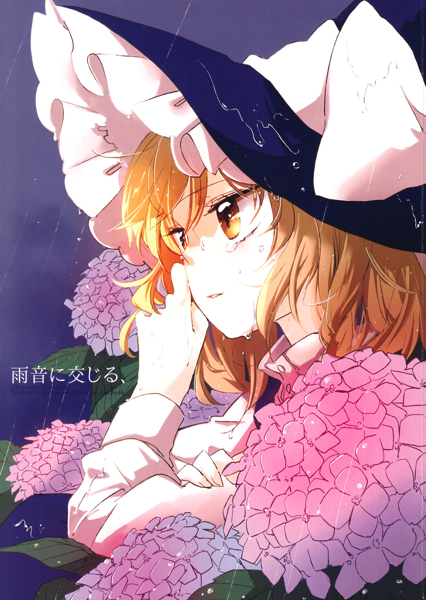 Touhou - Amaoto ni Majiru, (Doujinshi) 第1页