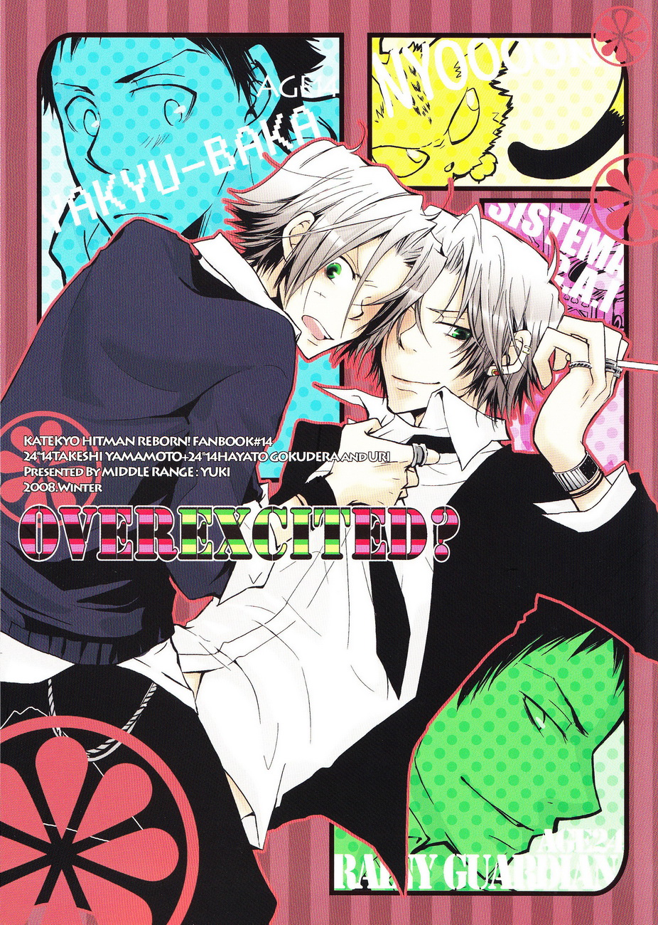 Katekyo Hitman Reborn! - Overexcited? (Doujinshi) 第1页
