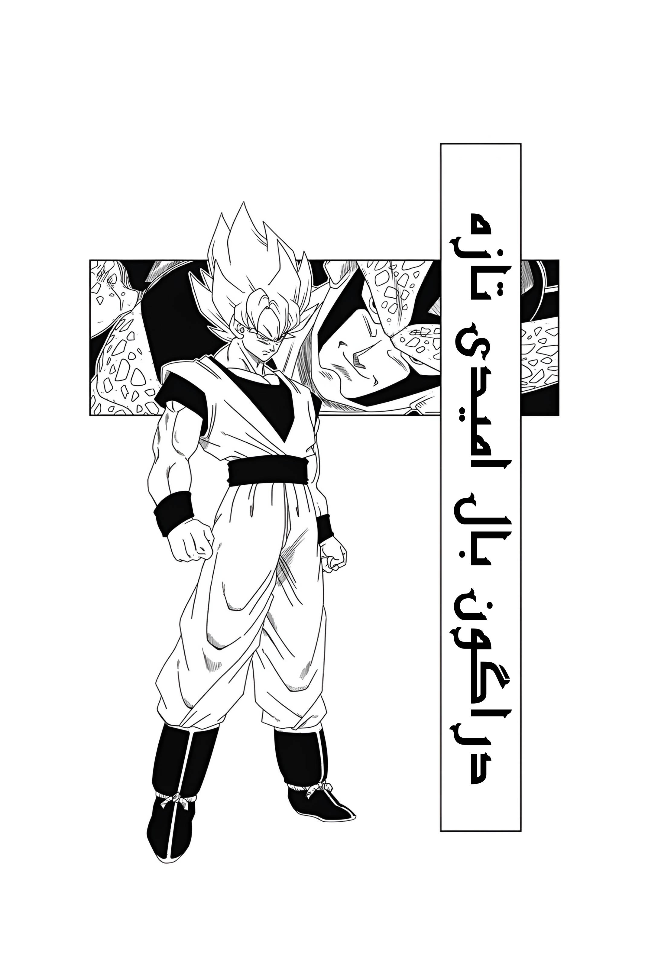 Dragon Ball - New Hope شکستی تاریک 第3页