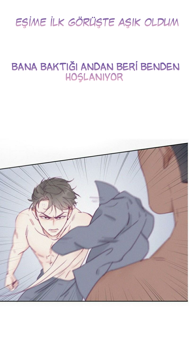 Counterattack Through Pregnancy 第8页
