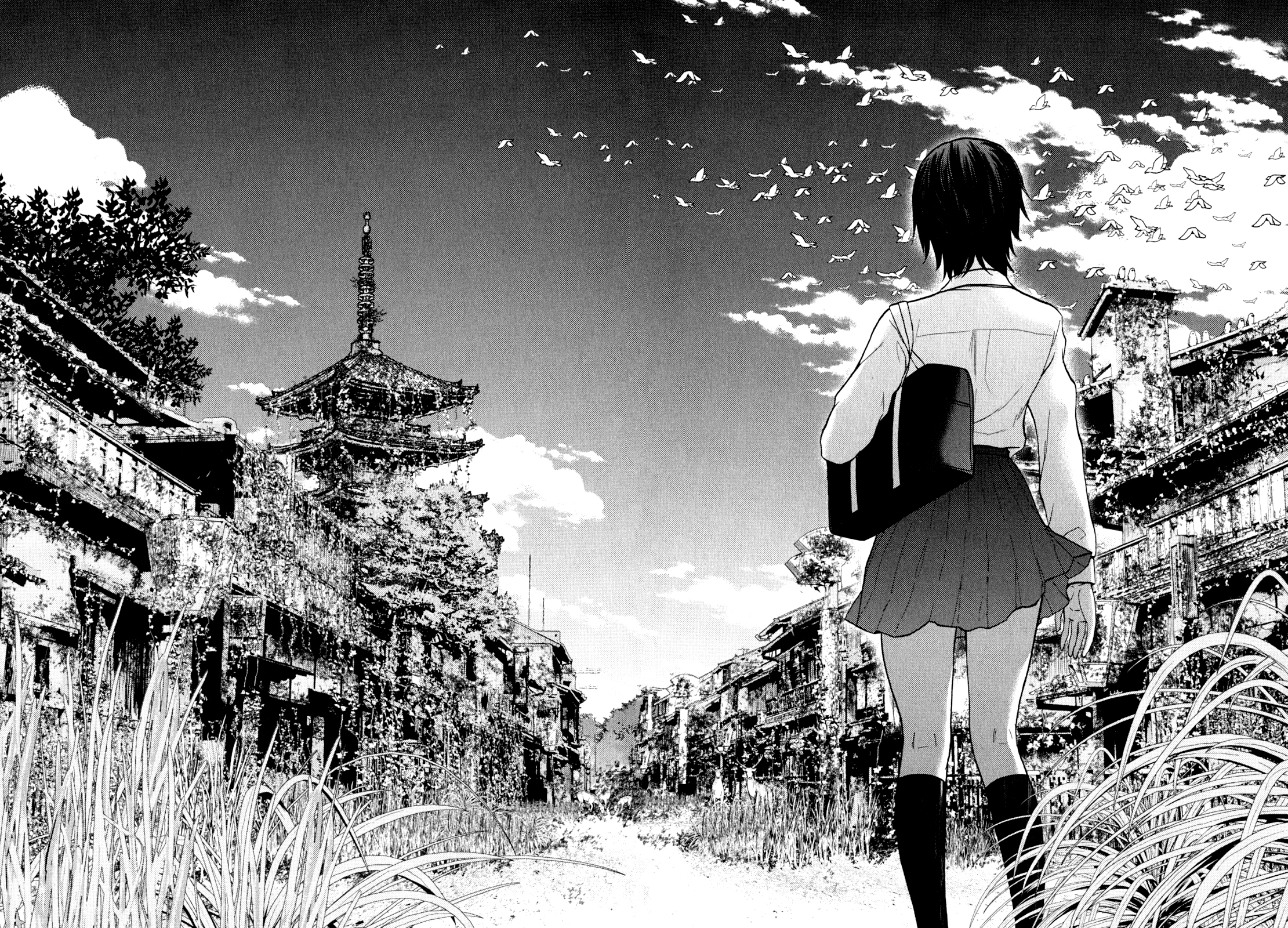 Alice on Border Road Alice on Border Road 第11页