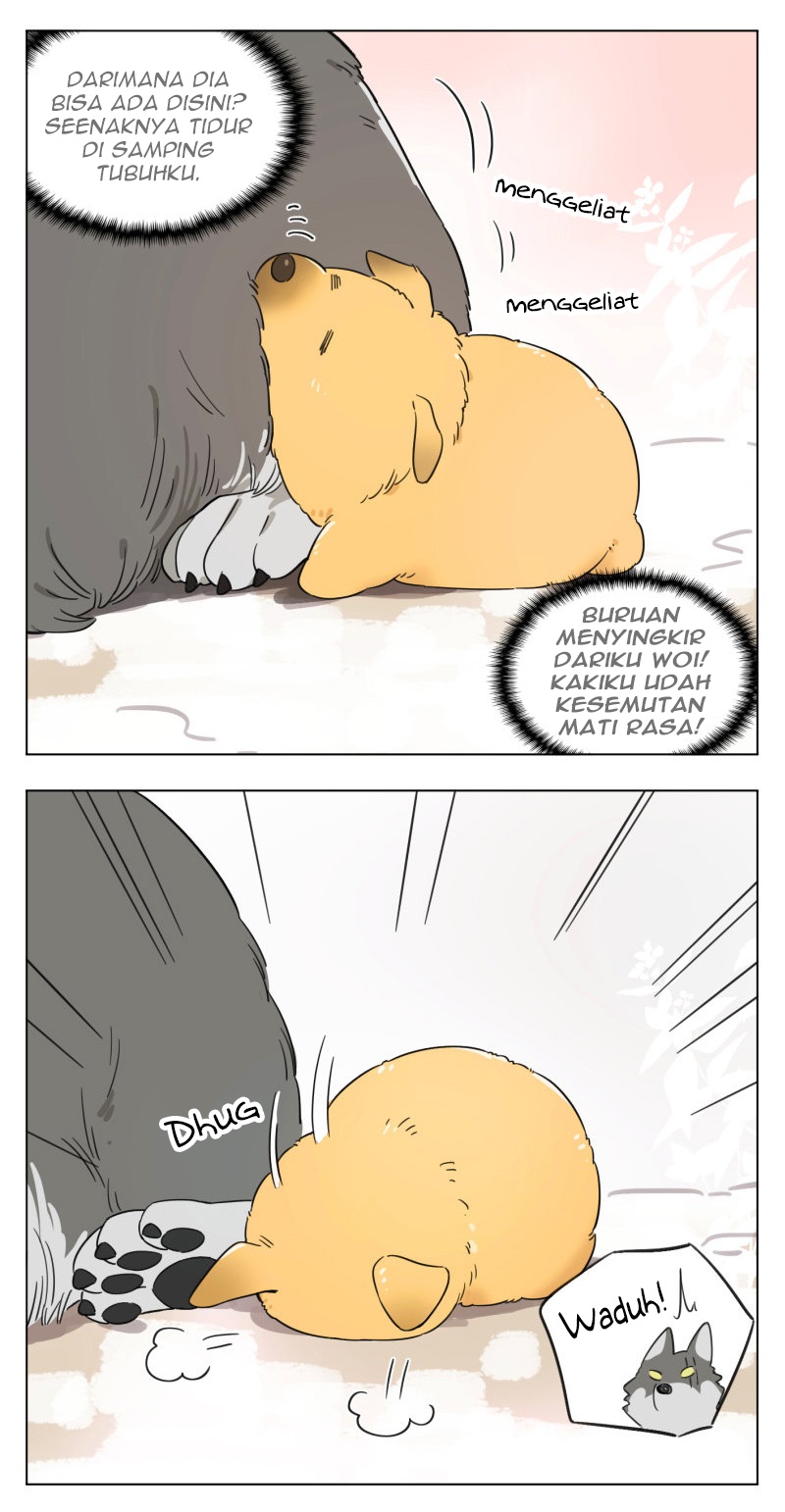 The Wolf That Picked Something Up 第5页