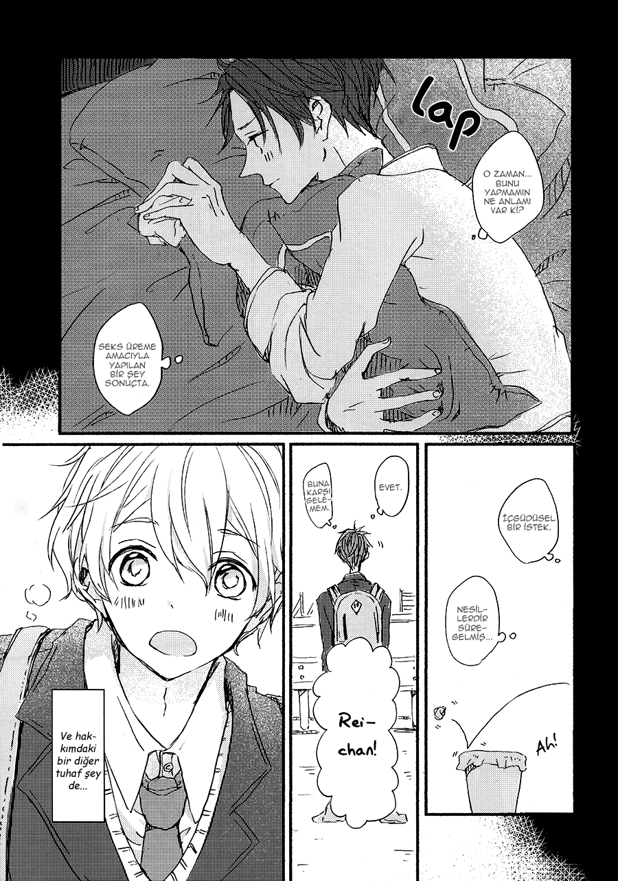 Free! - Soshite Koi o Shiru (Doujinshi) Oneshot 第10页
