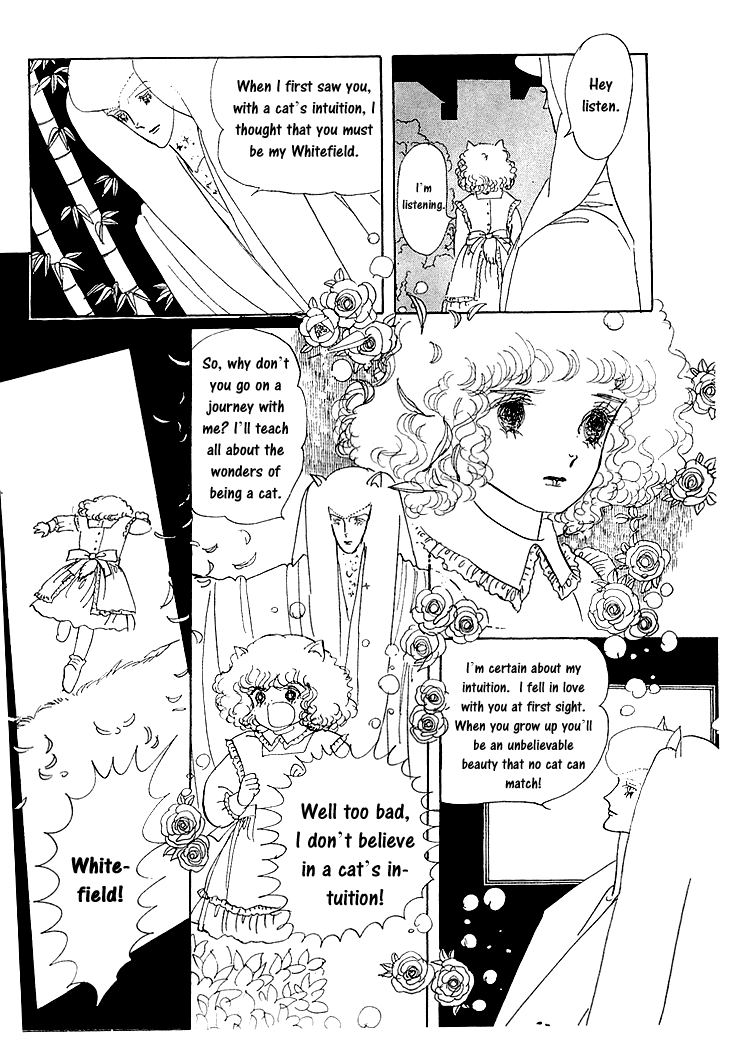 The Star of Cottonland Vol. 1 Ch. 1.2 第25页