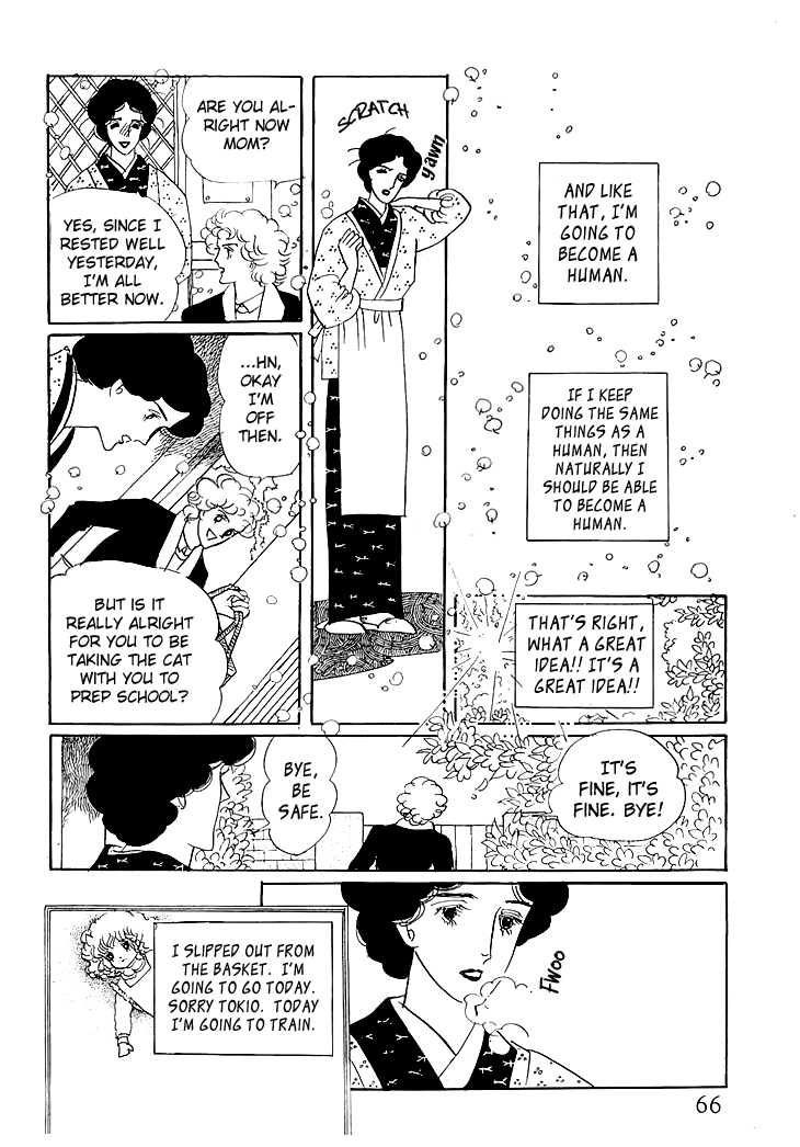 The Star of Cottonland Vol. 1 Ch. 1.2 第29页
