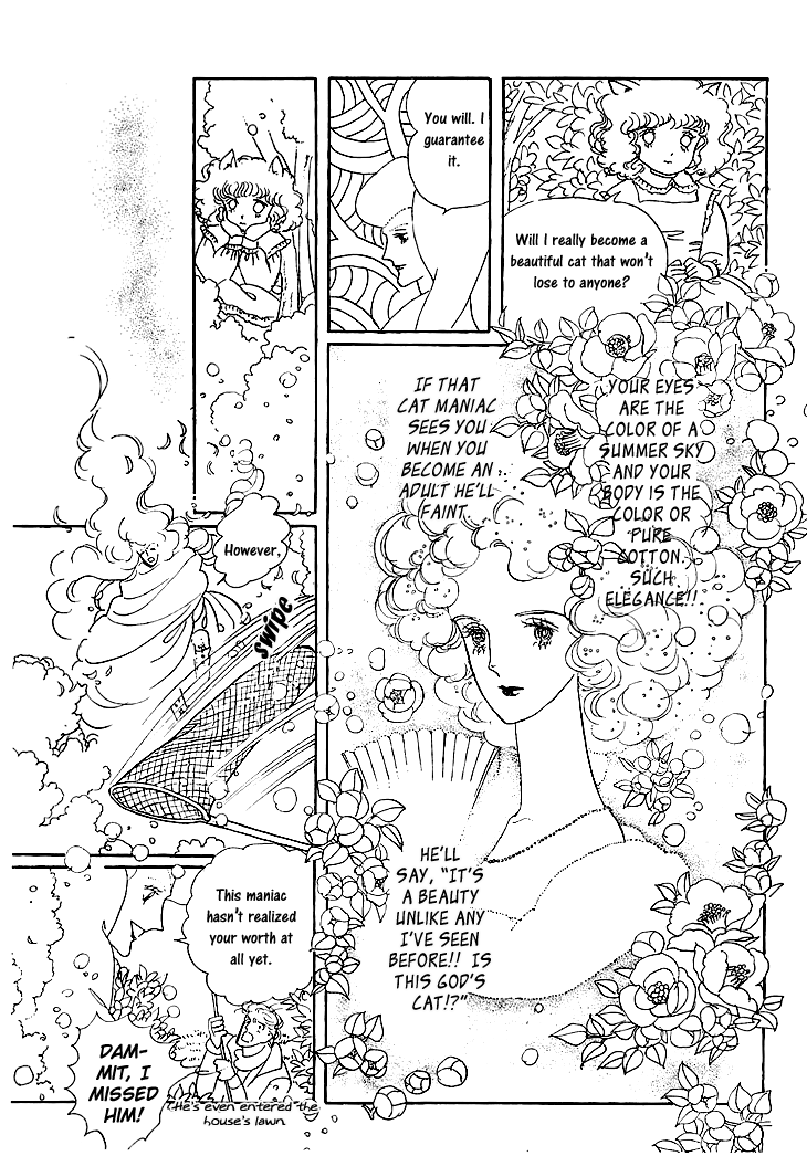 The Star of Cottonland Vol. 1 Ch. 1.2 第36页